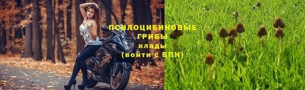 СК Костерёво