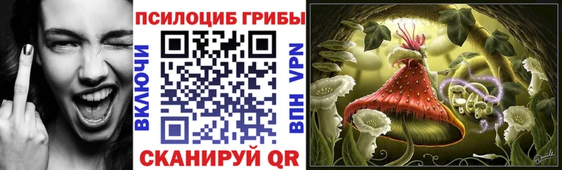 Купить где  Подольск  Псилоцибиновые грибы мицелий 