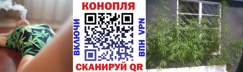 Купить  Подольск  Бошки марихуана планчик 
